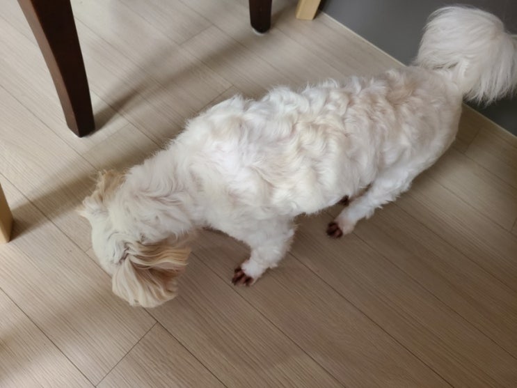  태풍 하이선