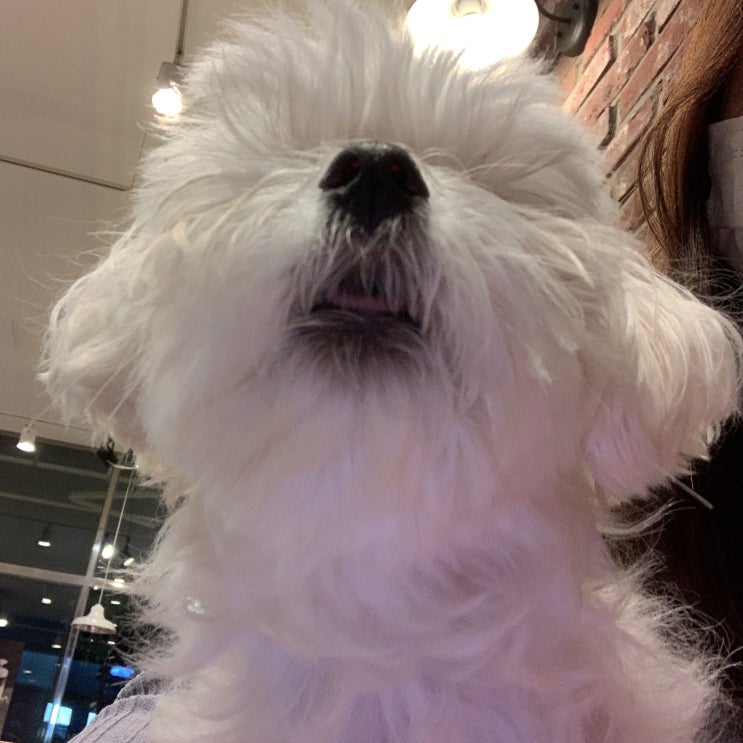  9월 첫째주 일상