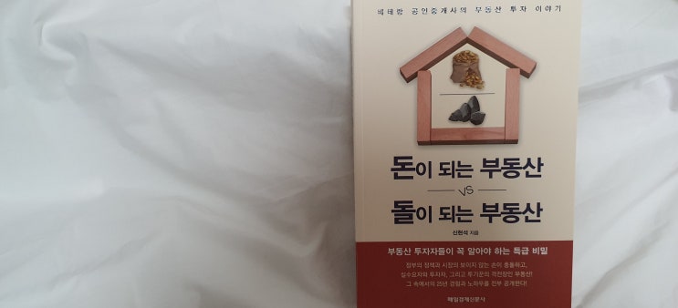  서평 : 돈이 되는 부동산 vs 돌이 되는 부동산