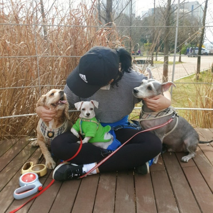  사지말고입양하세요,깐시웅! 오합지졸 삼남매의 그 시작_