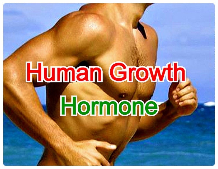  노화를 방지하고 젊음을 유지시켜주는 회춘 Hormone.. 성장호르몬!