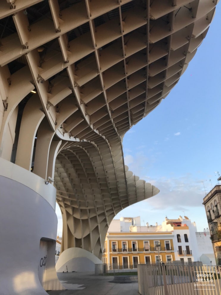  [유럽; 스페인 세비야 여행] 세비야 도심 속의 거대한 파라솔 메트로 폴 파라솔 Metropol Parasol  건축 특징