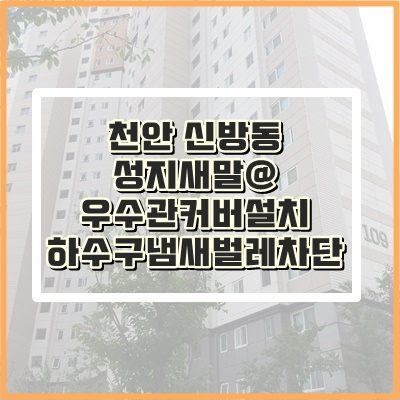 천안 우수관냄새차단 하수구벌레까지 막아드려요.