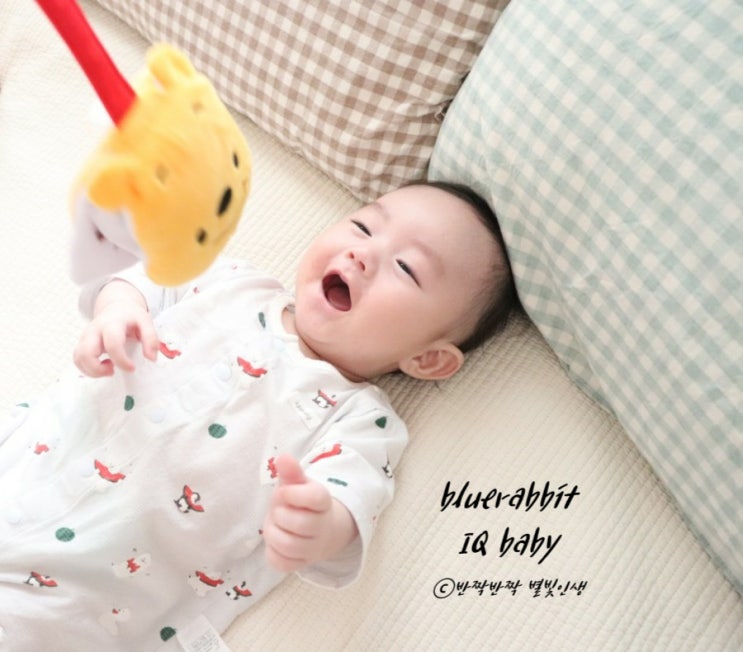  누리과정 5개 영역 통합발달 블루래빗 유아완구 아이큐베이비로