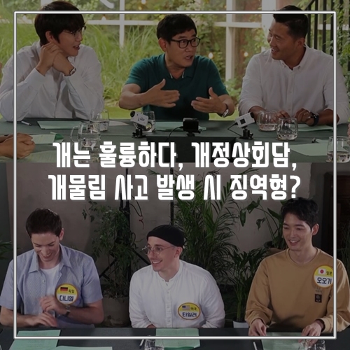  개는 훌륭하다, 개정상회담, 개물림 사고 발생 시 징역형?