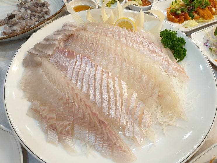  대전 홍도동 맛집 <중부회수산>