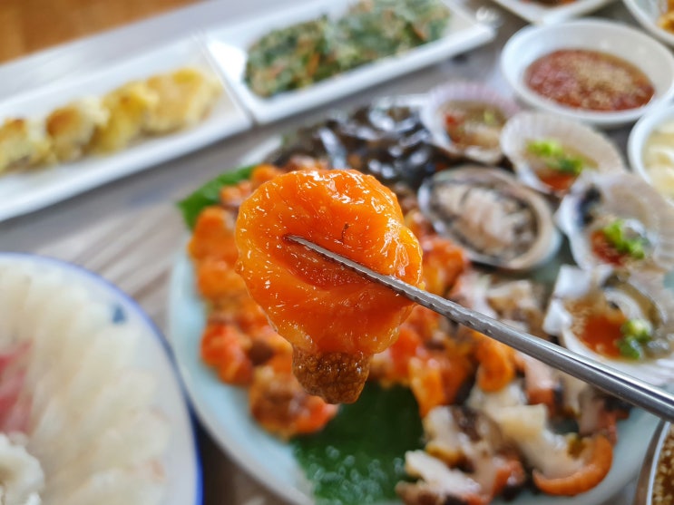  거제도맛집 - 어판장회센타
