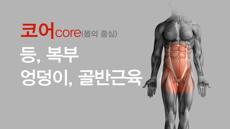  부상방지를 위한 코어 다듬기 (코어운동)