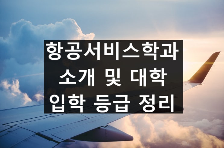  항공서비스학과 소개 및 대학, 등급 정리