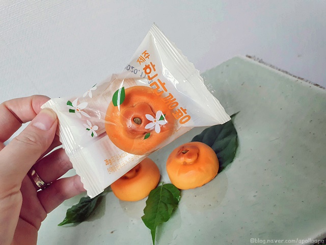  속초여행선물 받는사람 빵터지는 제주한라봉빵