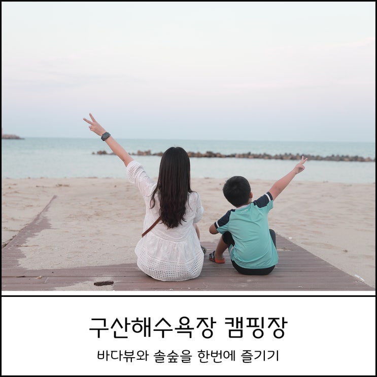  울진 구산해수욕장캠핑장 바다뷰와 솔 숲을 한번에 즐길 수 있는 캠핑장