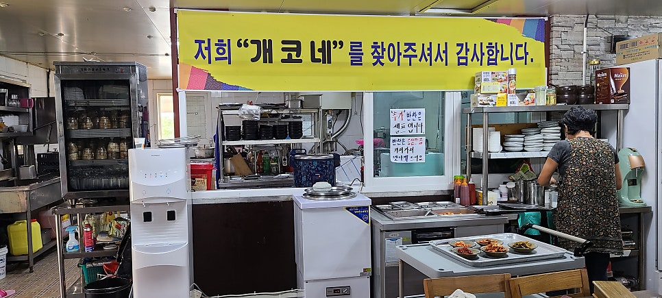 개코네 사진 4