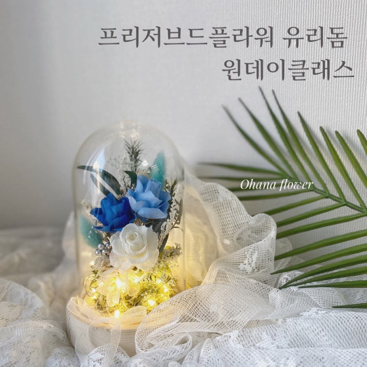 프리저브드플라워 LED유리돔 원데이클래스  :: 부산 수영 해운대 플라워스튜디오 Ohanaflower