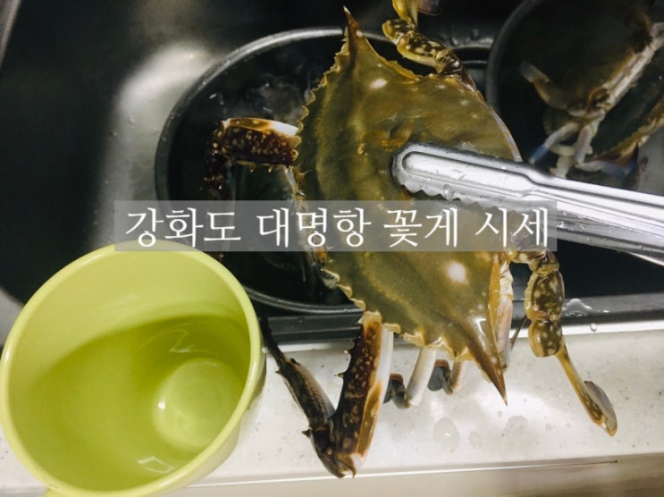  강화 대명항 꽃게 시세/가을 꽃게는 숫게, 봄 꽃게는 암게죠? feat.꽃게라면