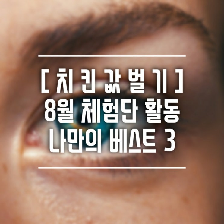  [치킨값벌기] 8월 블로그체험단 나만의 베스트 어워드(마초쉐프, 곰팡이제거제,7년간의 마법같은 기적)