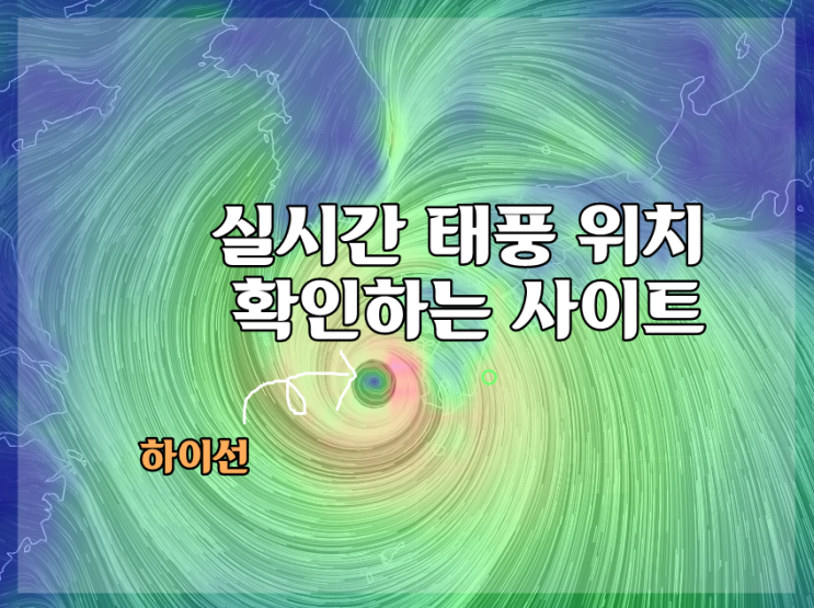  현재 태풍 위치 보는 사이트 (윈디)