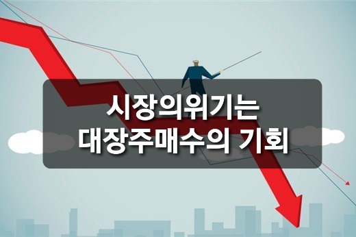 대장주, 시장의 위기는 대장주의 기회