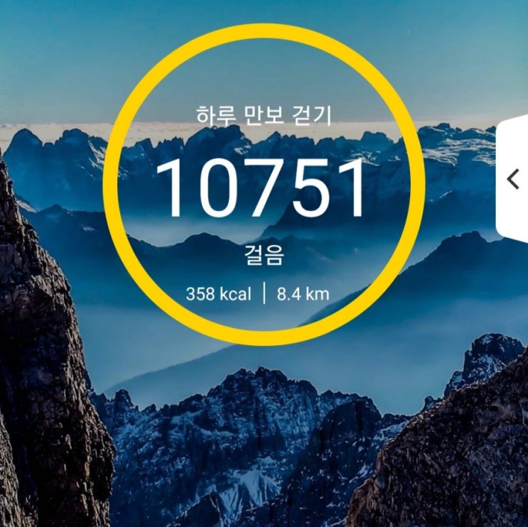  [건강프로젝트] 100일차 6000보 이상 걷기 성공!