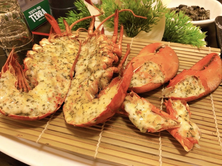  [공주맛집] 공주 횟집은 단연 어도활어참치
