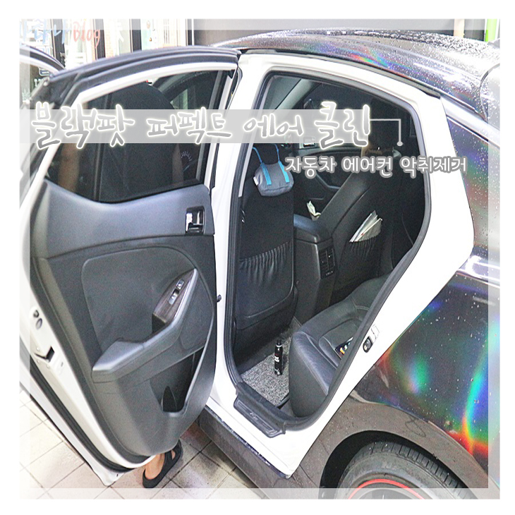  자동차살균 및 에어컨악취제거 블랙팟 퍼펙트 에어클린으로 한방에