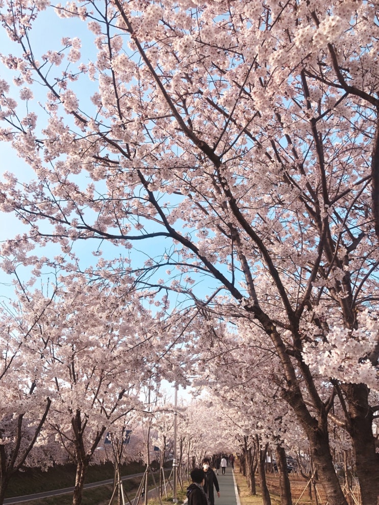  #2020.04.01~2020.8.31 네달치 일기