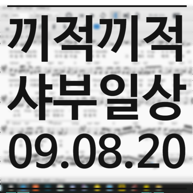  09.08.20 샤부 일상