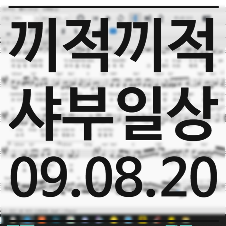 09.08.20 샤부 일상