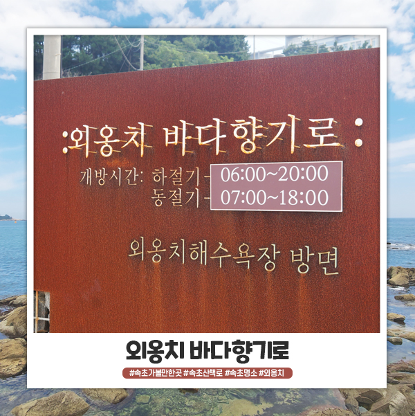 외옹치 바다향기로 주차 및 개방시간 알아봐요 외옹치 바다향기로 주차 및 개방시간 알아봐요