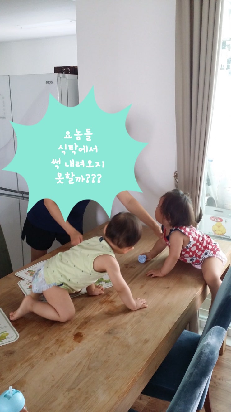 FILE 283 애제자 / 슬쌍디아빠 과거로의 산책(2010.09.08.~2017.09.08.) 일상일기