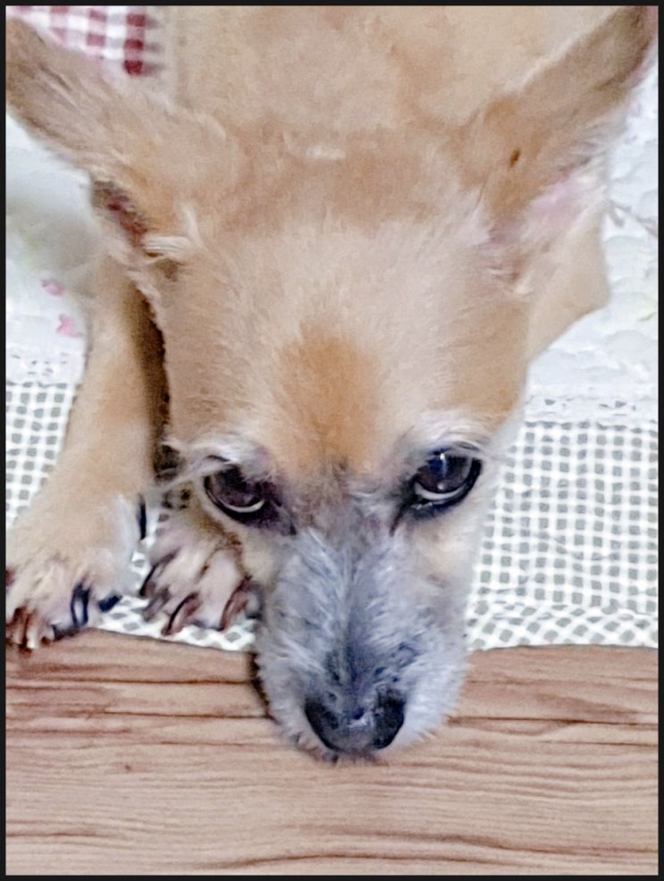  잠이 온다~~^^