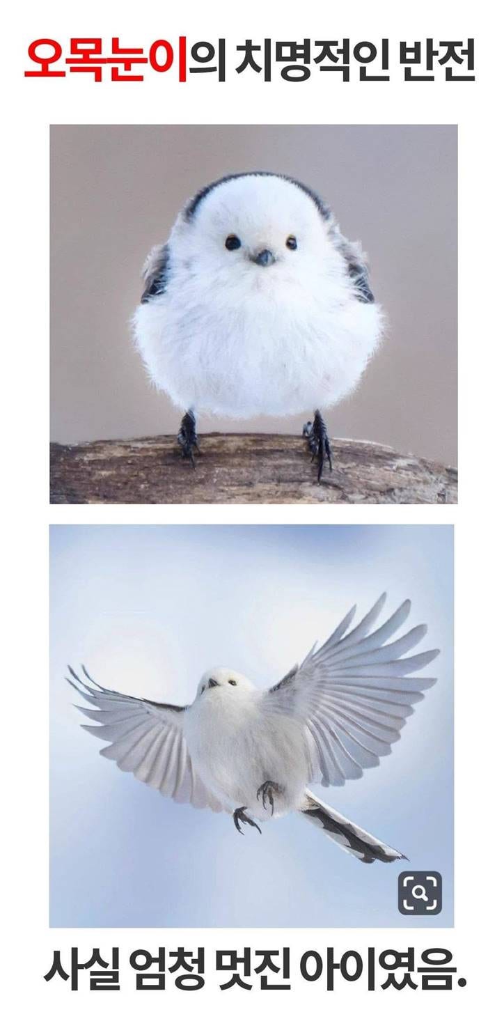 이상미 (@godboss1) • Facebook, image size:724x1453