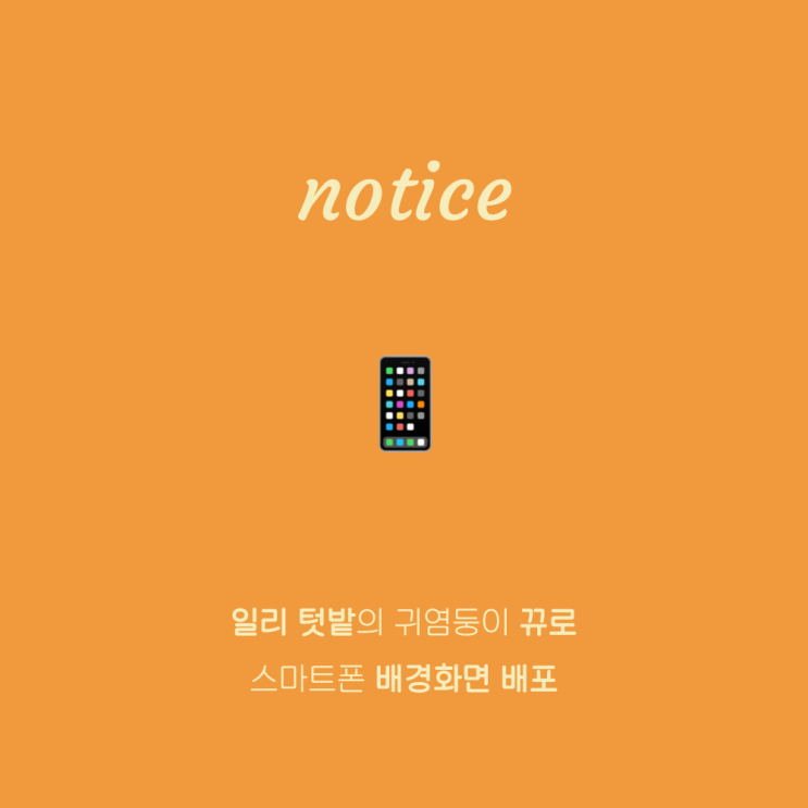  설우향 | 일리 텃밭 귀염둥이 뀨로 스마트폰 배경화면 배포