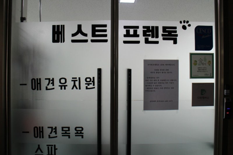 사진 9