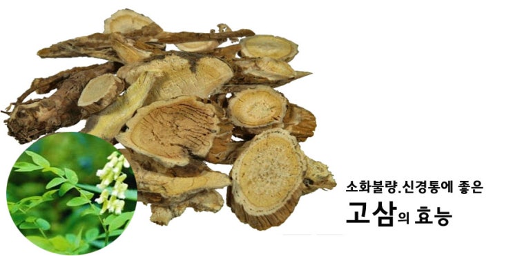  고삼.너삼의 효능