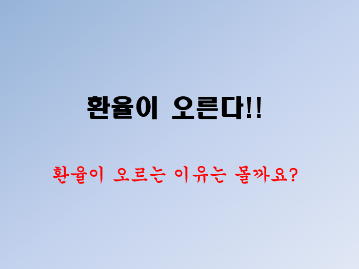 환율 오른다!! 내리면??