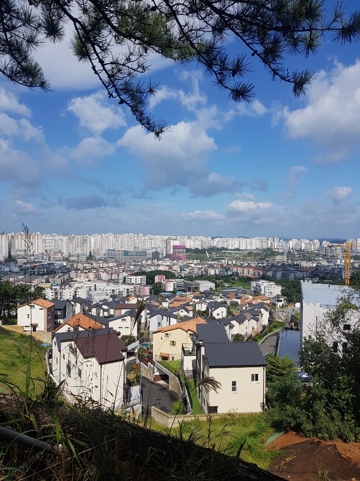  뒷산에서 바라본 하늘