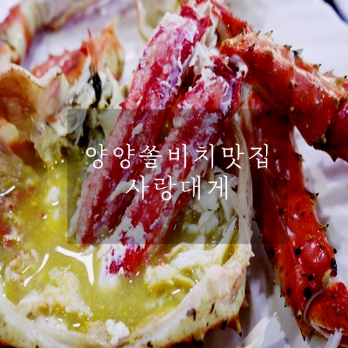 양양 쏠비치 대게 킹크랩 신선한곳 사랑대게