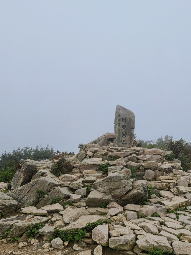  100대명산, 평창 오대산 등산 코스(오대산 국립공원 상원사 탐방지원센터~적멸보궁~비로봉~원점)