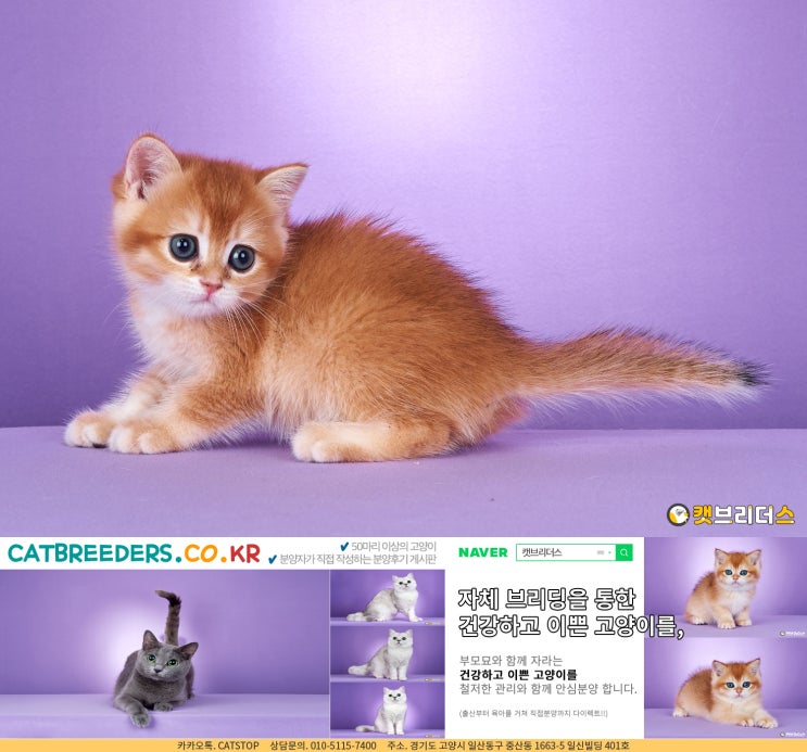  기억에 남을 수밖에 없는 골드브숏!
