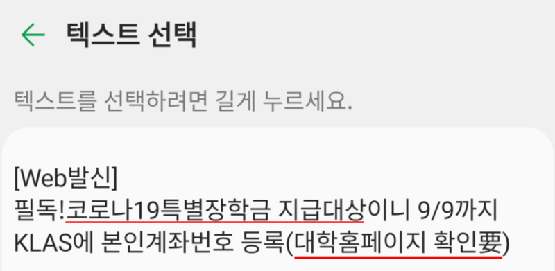 코로나19 특별장학금 지급여부 확인하고 신청 및 받는 법 : 네이버 블로그