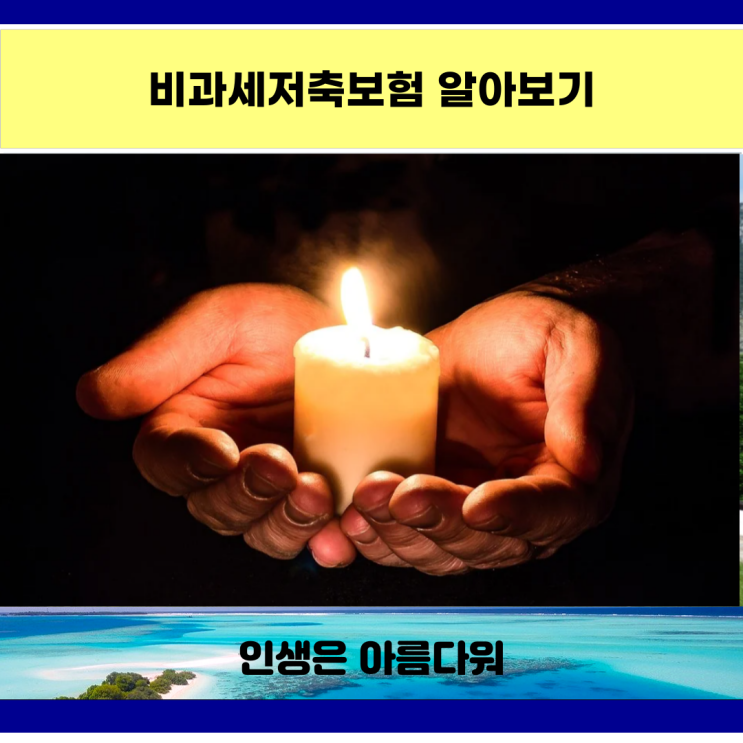  비과세저축보험 알아보기