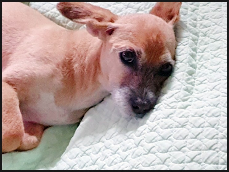  잠이 온다~~Ⅱ ^^;