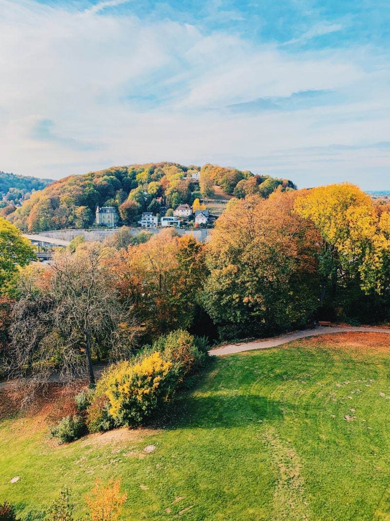 블록체인 입문자를 위한 비트코인조회 방법 : 네이버 블로그