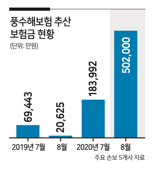 태풍 또 오는데…풍수해보험 보장 미미 태풍 또 오는데…풍수해보험 보장 미미