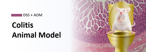 IBD Model (염증성 장 질환 동물모델) 은 무엇인가?
