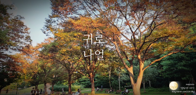 귀로 - 나얼. 늦은밤 음악듣기&가사적기.