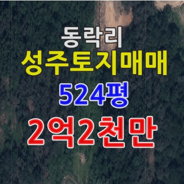  성주땅, 핫한동네 동락리 성주토지매매, 성주부동산