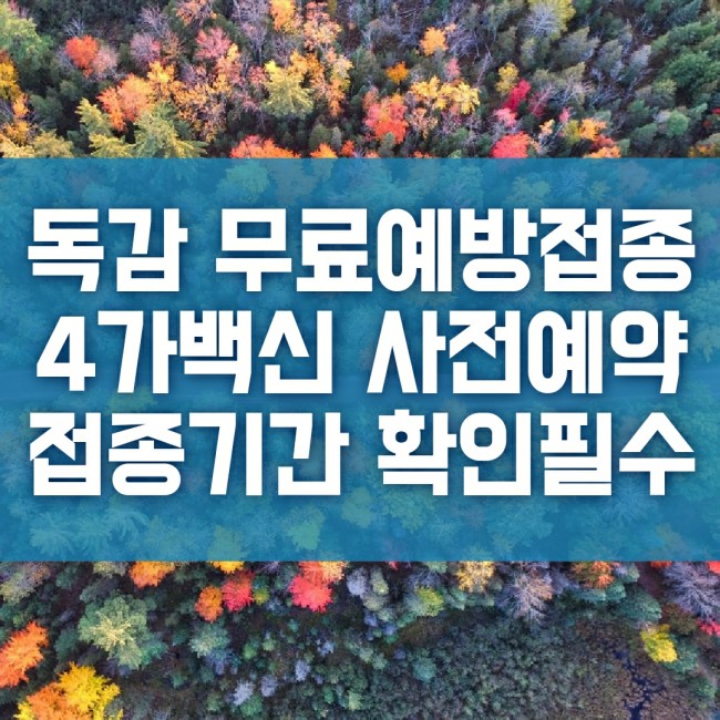  독감 무료 예방접종 4가 백신 예방접종도우미 사전예약