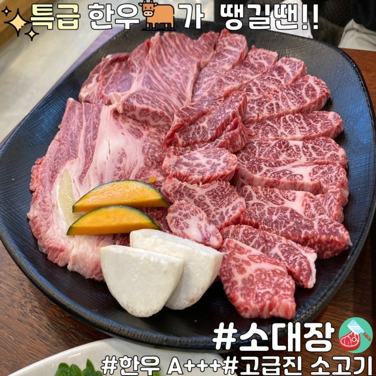 [울산 옥동 소대장] 대공원 맛집 추천! 소고기(한우) 퀄리티가 대박인 맛집
