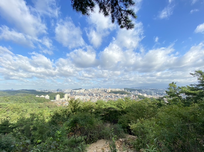  까치고개 넘어 관악산 초입 아침 산책